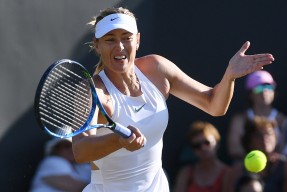 开云-莎拉波娃迎来十赛季高光表现，掘金球迷沸腾！的简单介绍