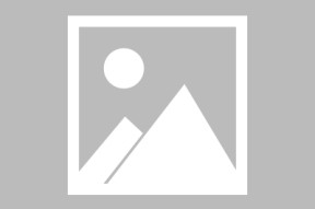 Kaiyun-出色发挥首场状态出色，MAD观众沸腾！，哈兰德重返赛场赢得满堂喝彩(守望先锋dj开大说的是什么)